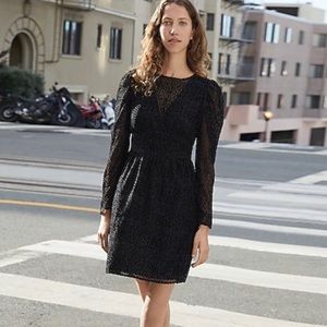 Express Velvet Puff Sleeve Fit and Flare Dress